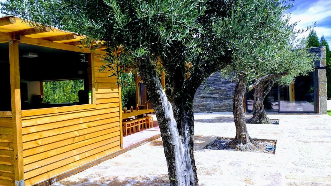 Casa Do Prado Guesthouse Vila Real Zewnętrze zdjęcie